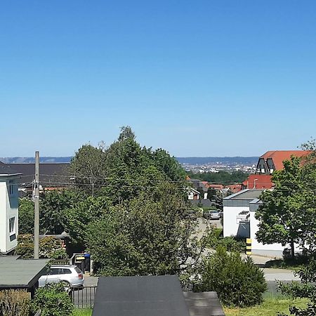 Ferienwohnung Fernblick Bei Brueckners دريسدن المظهر الخارجي الصورة